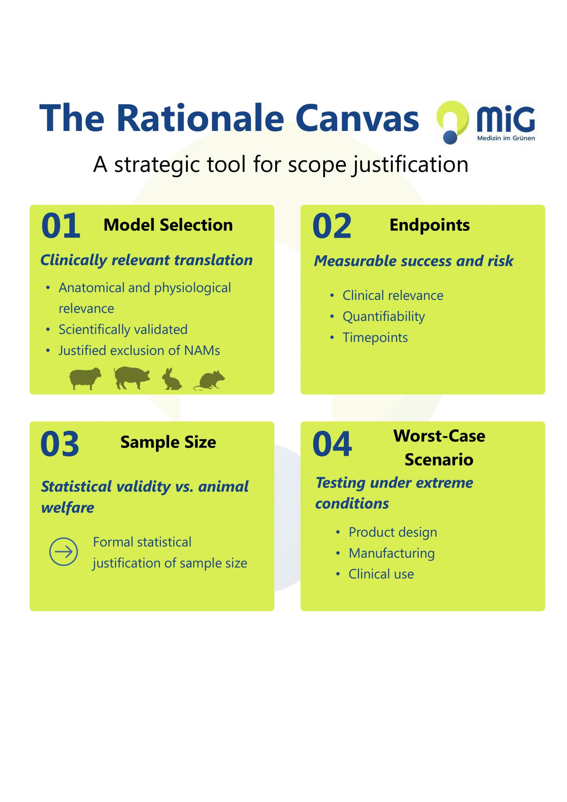 The Rationale Canvas